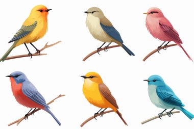 Colorful birds set isolated vector style illustration clipart