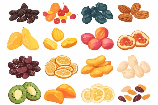 Dried Fruits Nuts Set Isolated Vector Style — Stock Vector