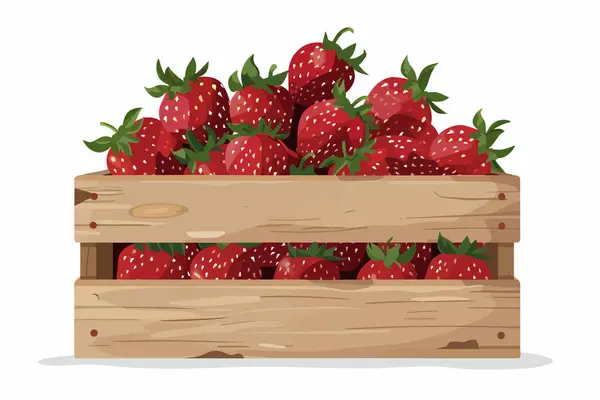 Stock vector wooden crate filled with strawberries stock image isolated vector style