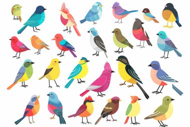 Renkli kuşlar beyaz kenar stok resmini izole vektör biçiminde resmettiler