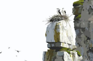 Birds Nesting on Coastal Cliffs isolated illustration illustration clipart