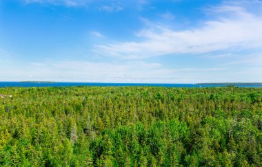 Bruce Peninsula, Ontario,Canada majestic aerial view on green luxury forest and blue Georgian Bay, lake Huron in background, sunny day 