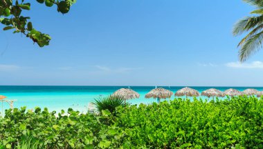 Varadero, Küba, Las Americas, Jul25,2025, arka planda dinlenen, yüzen ve eğlenen insanların olduğu muhteşem bir kumsal manzarası, güneşli bir gün.