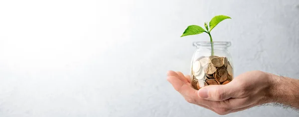 Kézfogás Small Coin Jar Növényekkel Belőle Ellen Puha Szürke Háttér — Stock Fotó