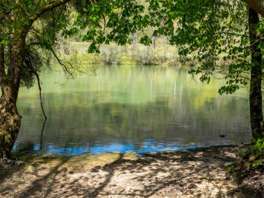 Sen Nehri 'nin kıyısında küçük gölgeli bir sahil. Güneşli bir baharın erken saatlerinde, Paris yakınlarındaki Thothe kasabasında çekildi.