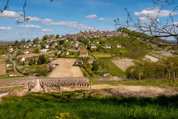 Sancerre 'deki eski Sancerre şehrinde ağaçların çerçevelediği, güneşli bir bahar günü Burgundy, Fransa' da çekilmiş bir manzara.
