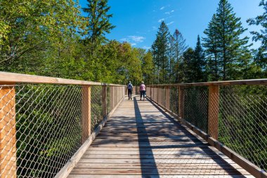 A wooden elevated boardwalk in the Laurentian boreal forest, Quebec, Canada. Taken on a sunny summer day with one unrecognizable ederly man and one unrecognizable ederly woman seen from behind