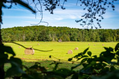 A framed view on a small barn on the edge of a meadow with the boreal forest in the background, Laurentians, Quebec, Canada. Taken on a sunny afternoon with no people.