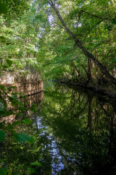 Drzewa Odzwierciedlające Rzekę Smqll Yerres Montgeron Francji Podjęte Słoneczny Letni — Zdjęcie stockowe