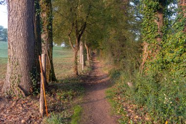 Fransa 'da Figeac yakınlarındaki Camino de Santiago patikasının fotoğrafı. Sisli bir sonbahar sabahında hiç kimse olmadan çekilmiş.
