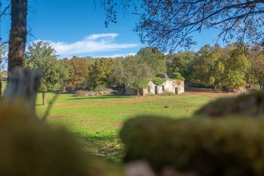 Güneybatı Fransa 'da sarmaşıkla kaplı terk edilmiş bir ahır güneşli bir sonbahar gününde güneşli bir patika boyunca hiç kimsenin olmadığı bir yere götürüldü.