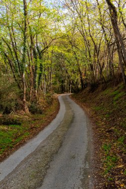 Camino de Santiago yolu Güneybatı Fransa 'da küçük bir kırsal yol kullanıyor. Güneşli bir sonbahar öğleden sonrasında hiç kimse olmadan çekildi.