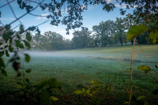 Photo of a meadow located in France bordered with large trees taken on an autumn misty morning