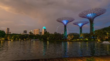 Singapur körfezi yakınlarındaki Gardens 'ta bulunan üç ağaçtan oluşan ikonik Supertree koruluğu, akşamları biraz yapay ışık ve hiç insan olmadan çekiliyor.