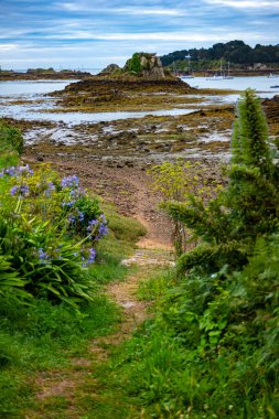 Brehat Adası açıklarında kayalık bir adaya bakan bir patika. Bulutlu bir yaz sabahı kıyıdan alınan Brittany, Fransa.