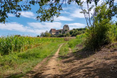 Bir bitki örtüsü, Camino de Santiago 'yu takip eden yaya yolu üzerindeki Pimbo kasabasına gelişini görüntüledi. Güneşli bir yaz gününde hiç kimse olmadan çekilmiş..