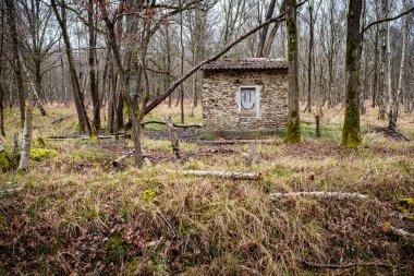 Fransız ormanında üzerinde gülümseme olan küçük bir taş kulübe. Bulutlu bir kış gününde hiç insan olmadan çekilmiş..