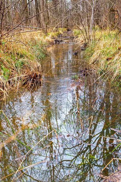 Fransız ormanında bir hendek. Bulutlu bir kış gününde hiç insan olmadan çekilmiş..