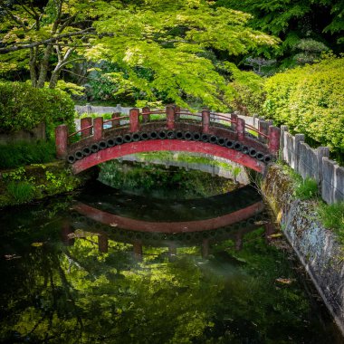 Japon geleneksel tapınak köprüsü suya yansıyor. Japonya, Sendai 'deki Zuigan-ji Tapınağı' nın girişinde hiç kimse olmadan çekildi..