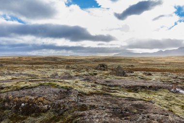 İzlanda 'nın güneydoğusunda yosunlar ve kayak dağcılarıyla tipik İskandinav ovası