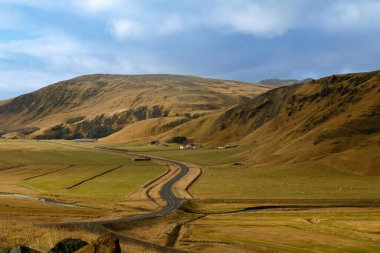 Güney İzlanda 'nın tipik sarı-turuncu manzarası