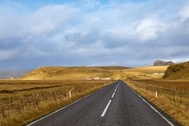 Güney İzlanda 'nın tipik sarı-turuncu manzarası