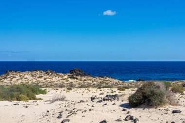 Kanarya Adaları 'ndaki Fuerteventura adasında Corralejo yakınlarındaki kumlu sahil şeridi.