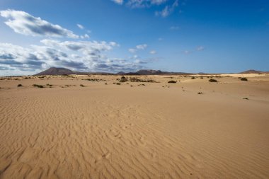 Kanarya Adaları 'ndaki Fuerteventura adasındaki Parque Natural de Corralejo' da kum tepeleri.