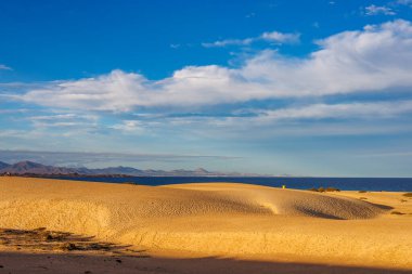 Kanarya Adaları 'ndaki Fuerteventura adasındaki Parque Natural de Corralejo' da kum tepeleri.