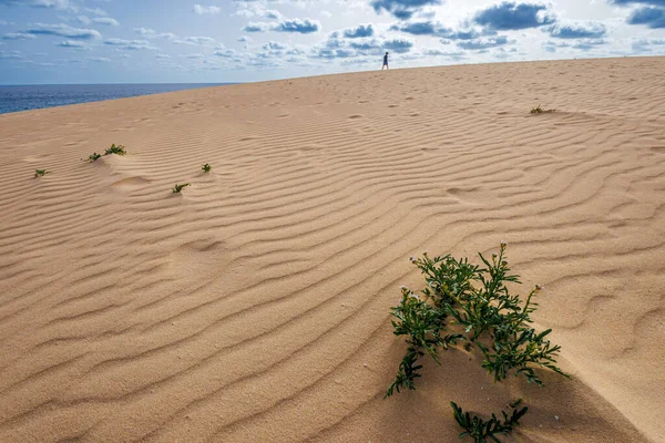 Zandduinen Het Parque Natural Corralejo Het Eiland Fuerteventura Canarische Eilanden — Stockfoto