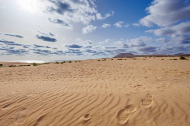 Kanarya Adaları 'ndaki Fuerteventura adasındaki Parque Natural de Corralejo' da kum tepeleri.