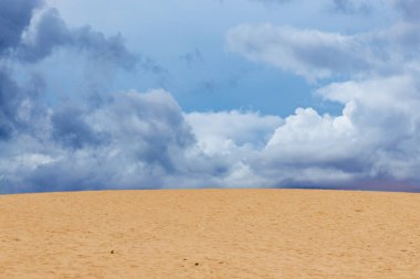 Kanarya Adaları 'ndaki Fuerteventura adasındaki Parque Natural de Corralejo' da kum tepeleri.