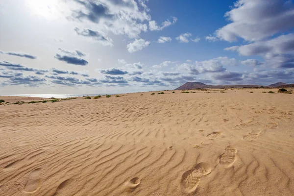 Sanddyner Parque Natural Corralejo Fuerteventura Kanarieöarna — Stockfoto