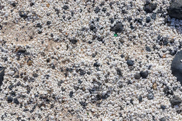 Popcorn Pláž Blízkosti Corralejo Ostrově Fuerteventura Kanárských Ostrovech — Stock fotografie
