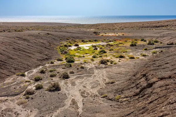 Land Södra Delen Fuerteventura Kanarieöarna — Stockfoto