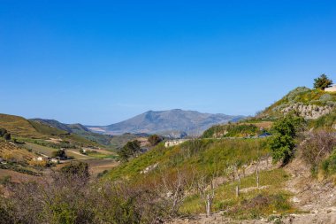 İtalya 'nın Sicilya adasındaki Marsala eyaletinde üzüm bağları bulunan manzara