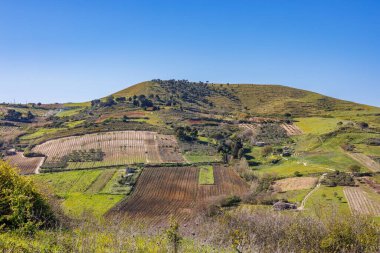 İtalya 'nın Sicilya adasındaki Marsala eyaletinde üzüm bağları bulunan manzara