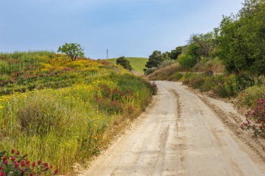 İtalya 'nın Sicilya adasının batısındaki dağlarda otlaklarla çevrili manzara