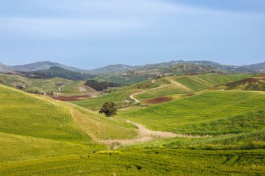 İtalya 'nın Sicilya adasının batısındaki dağlarda otlaklarla çevrili manzara