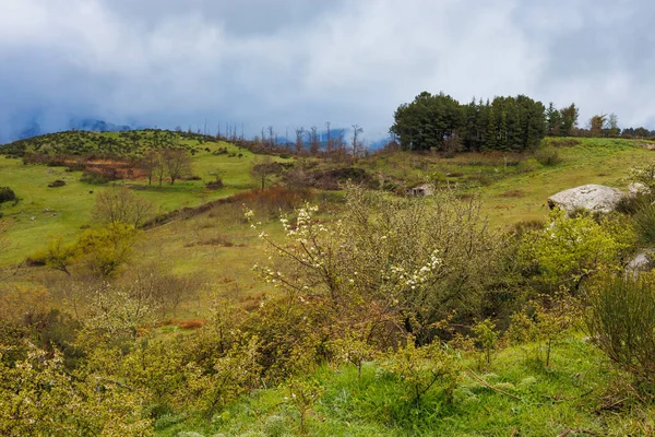 Landschap Regen Bij Riserva Naturale Orientata Bosco Malabotta Het Eiland — Stockfoto