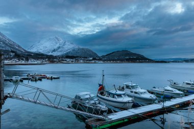 Norveç 'in kuzeyinde, Lofoten Adaları' nda, fiyort yakınlarındaki bir kayanın üzerindeki buz krallığı.