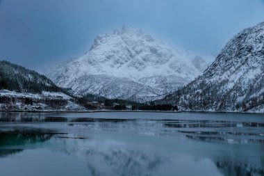 Norveç 'in kuzeyinde, Lofoten Adaları' nda, fiyort yakınlarındaki bir kayanın üzerindeki buz krallığı.