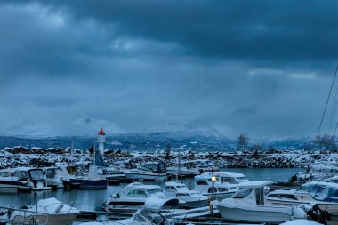 Norveç 'in kuzeyinde, Lofoten Adaları' nda, fiyort yakınlarındaki bir kayanın üzerindeki buz krallığı.