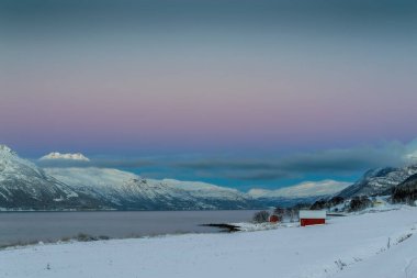 Norveç 'in kuzeyinde, Lofoten Adaları' nda, fiyort yakınlarındaki bir kayanın üzerindeki buz krallığı.