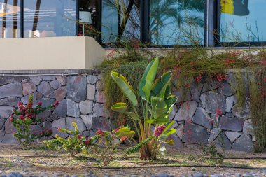 Portekiz 'in Madeira adasındaki kamusal alanların güzelleştirilmesi