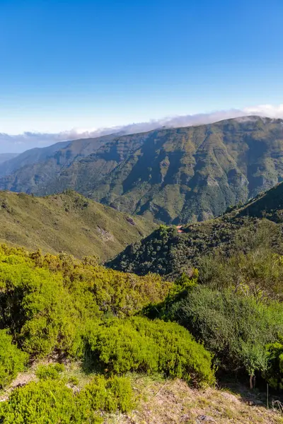 Portekiz 'in Madeira sıradağlarının yüksek yaylalarındaki manzara