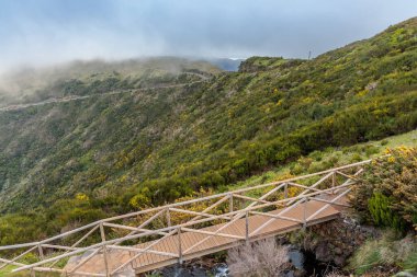 Portekiz 'in Madeira adasındaki Rabacal ve Levada do Risco çevresindeki manzara
