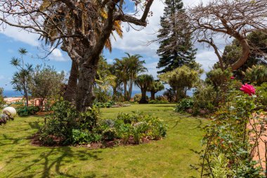 Portekiz 'in Madeira adasındaki Quinta Splendida Botanik Bahçesi