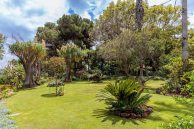 Portekiz 'in Madeira adasındaki Quinta Splendida Botanik Bahçesi