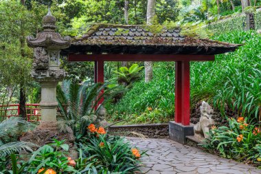 Portekiz 'in Madeira adasındaki Monte Sarayı Tropikal Bahçesi' nde dolaş.